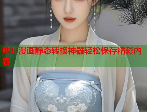 哔咔漫画静态转换神器轻松保存精彩内容