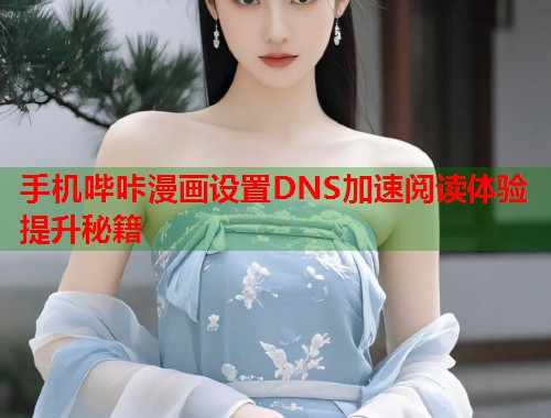 手机哔咔漫画设置DNS加速阅读体验提升秘籍