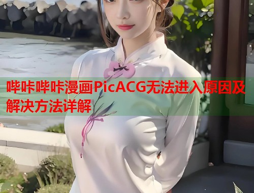 哔咔哔咔漫画PicACG无法进入原因及解决方法详解