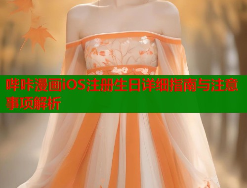哔咔漫画iOS注册生日详细指南与注意事项解析