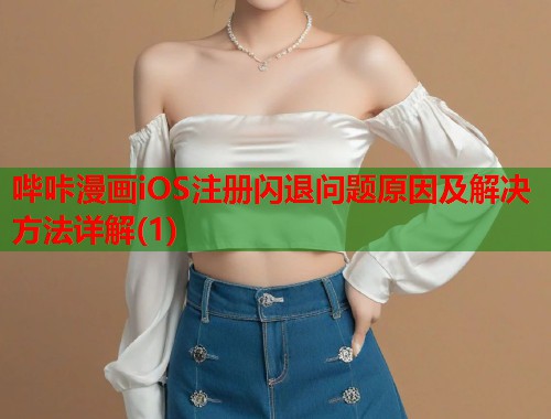 哔咔漫画iOS注册闪退问题原因及解决方法详解(1)