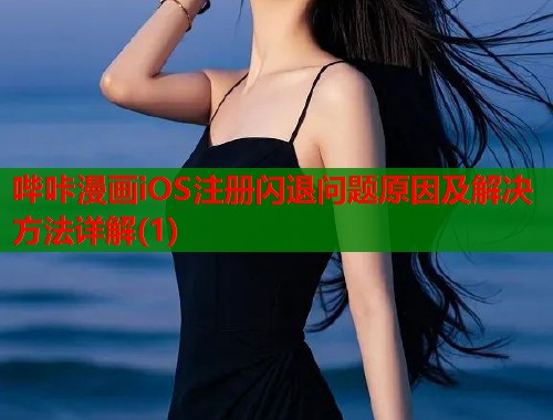 哔咔漫画iOS注册闪退问题原因及解决方法详解(1)  第2张