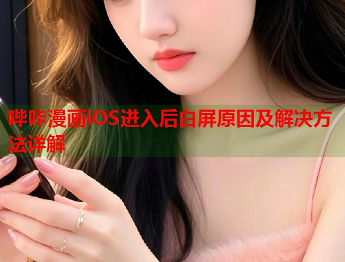 哔咔漫画iOS进入后白屏原因及解决方法详解  第2张