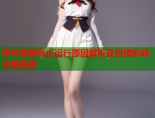 哔咔漫画停止运行原因解析及后续影响全面报道