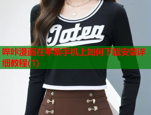 哔咔漫画在苹果手机上如何下载安装详细教程(1)