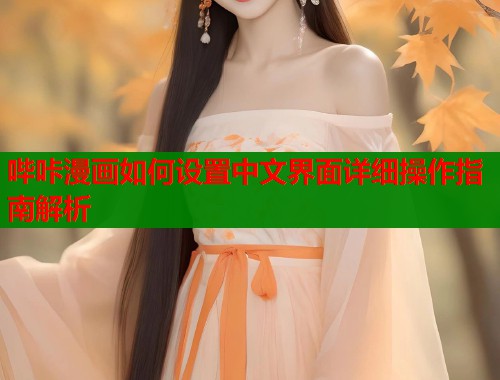 哔咔漫画如何设置中文界面详细操作指南解析