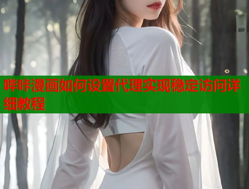 哔咔漫画如何设置代理实现稳定访问详细教程