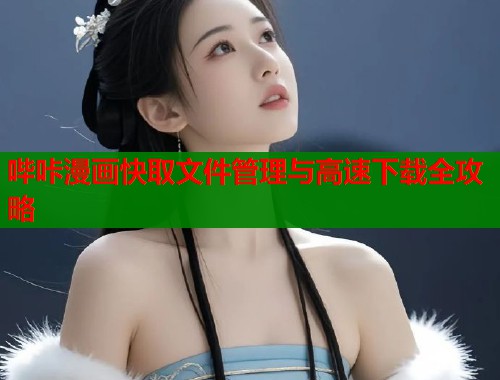 哔咔漫画快取文件管理与高速下载全攻略  第2张
